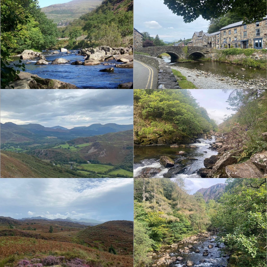 Beautiful Beddgelert hike (Snowdonia/Eryri) - Sunday 10th August