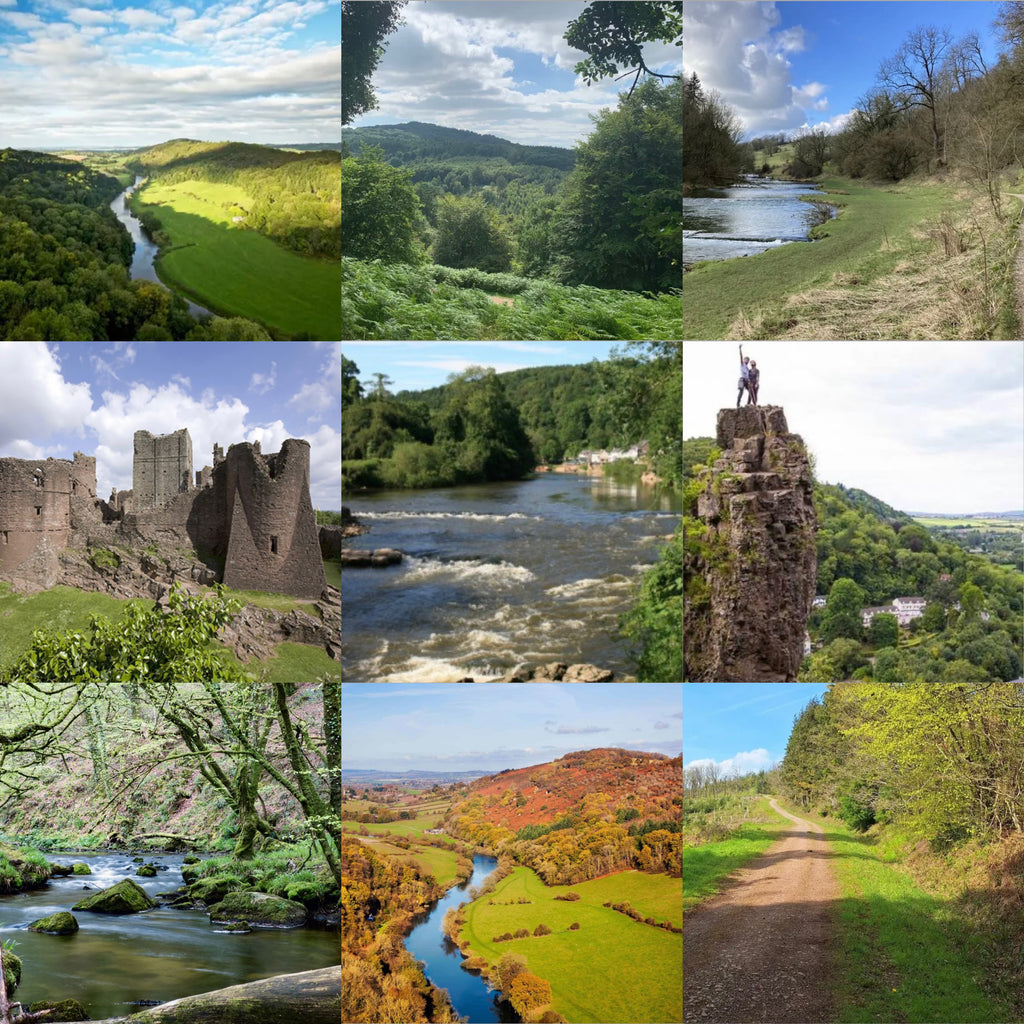 Forest of Dean and the Wye Valley weekend trip - 7/8th February