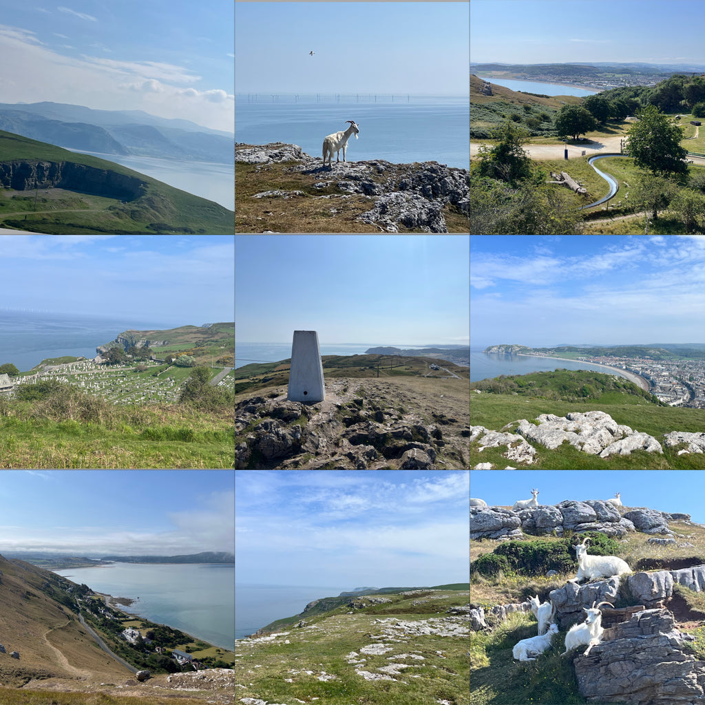 New Year's Day 'Great Orme Explorer' hike (Llandudno) - Friday 1st January